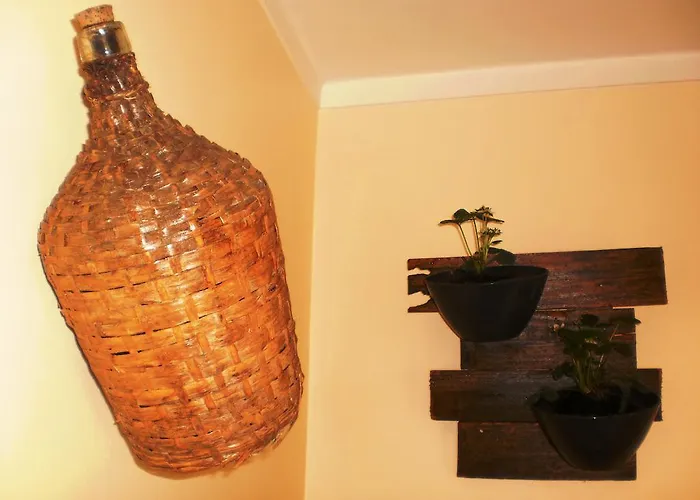 Casa vacanze Swordfish Eco-house *