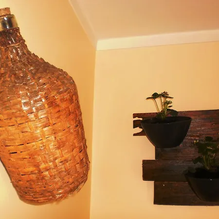 Casa vacanze Swordfish Eco-house *