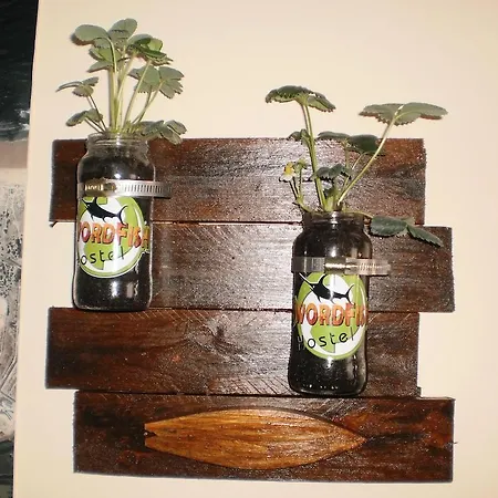 Дом отдыха Swordfish Eco-house