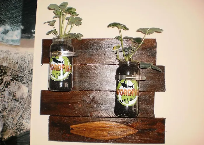 Casa vacanze Swordfish Eco-house